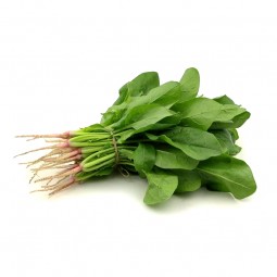 Spinach English