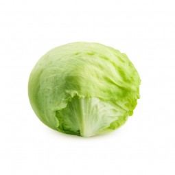 Lettuce Iceberg