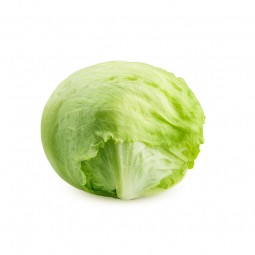 copy of Lettuce Green