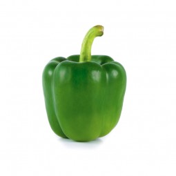 Bell Pepper Green