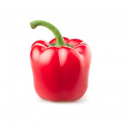 Bell Pepper Red