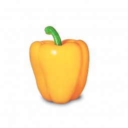 Bell Pepper Yellow