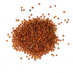 Quinoa Red