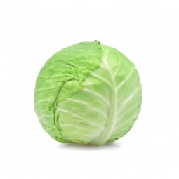 Cabbage (1pcs)