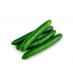 copy of Broccoli