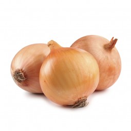 Onion
