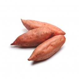 Sweet Potato