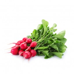 Radish Red