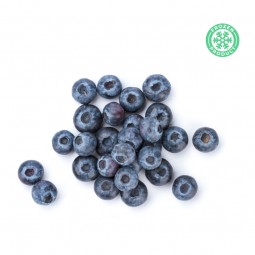 Blueberry import