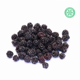 Mulberry Frozen (1kg)