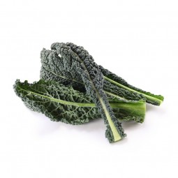 copy of Broccoli