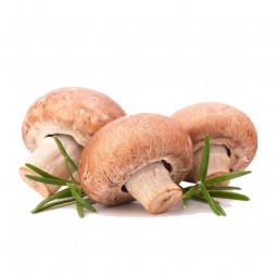 Mushrooms Button