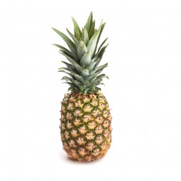 Pineapple (1pcs)