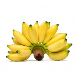 Banana Mas (1 bunches)