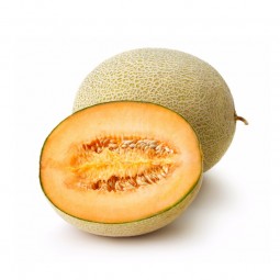 Melon Rock (1pcs)