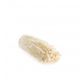 Mushroom Enoki