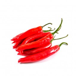 Chili Red Big