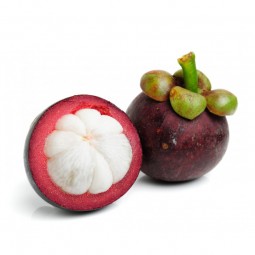 Mangosteen