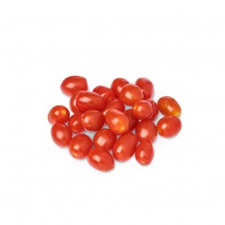 Tomato Cherry Red