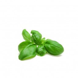 Basil Italian (100gr)