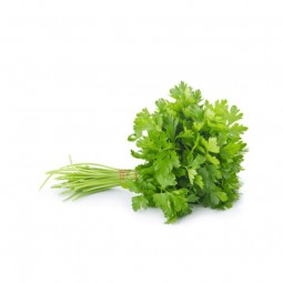 Coriander (100 gr)
