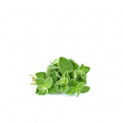 Oregano (100gr)