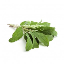 Sage (100gr)