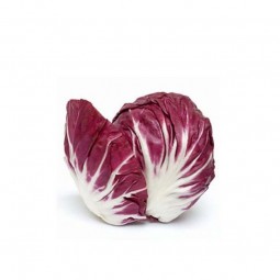 Lettuce Radicchio