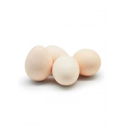 copy of Eggs Regular