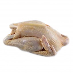 copy of Chicken Breast Organic