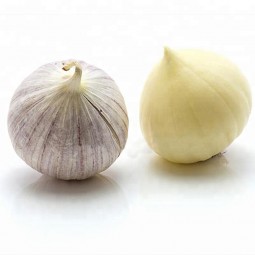 Garlic Single Clove (100gr)
