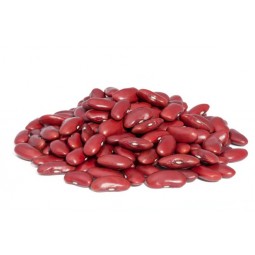 Bean Red Kidney