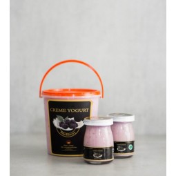 copy of Yogurt Liquid
