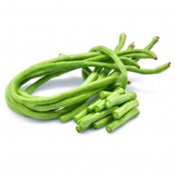 Yardlong Beans (1bunch)