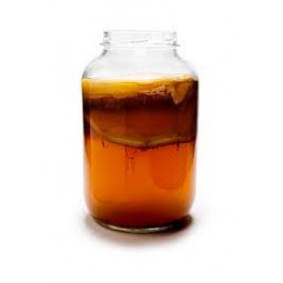 Kombucha