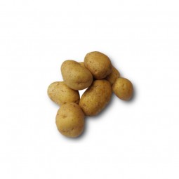 Potato Baby (1kg)
