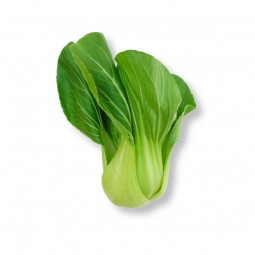 Bok Choy